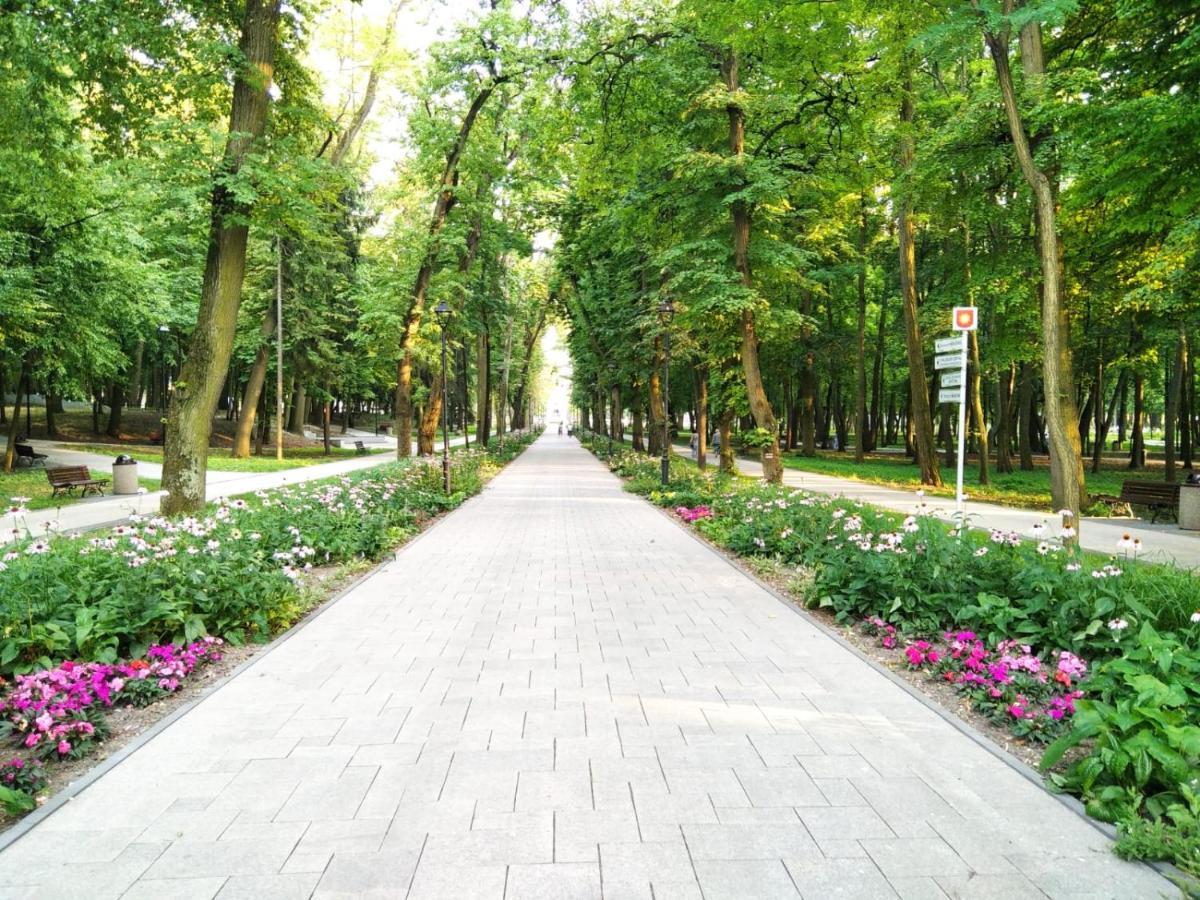 Apartament Zdroj Буско-Здруй Экстерьер фото